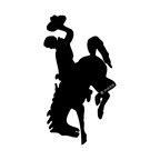 BUCKING HORSE AND RIDER