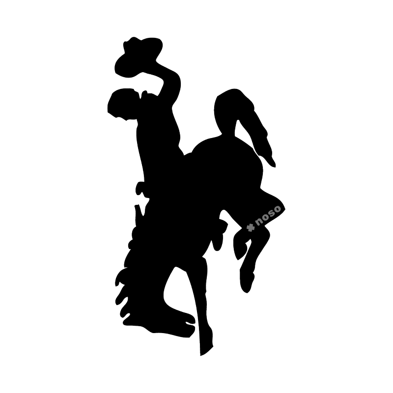 BUCKING HORSE AND RIDER