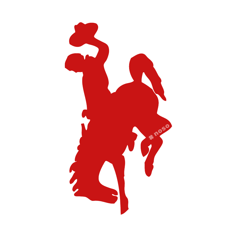 BUCKING HORSE AND RIDER