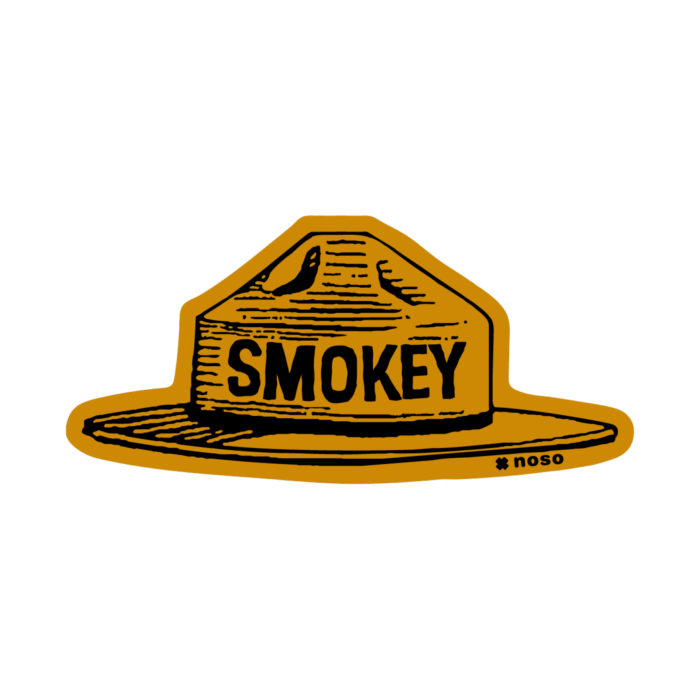 Smokey Bear Hat