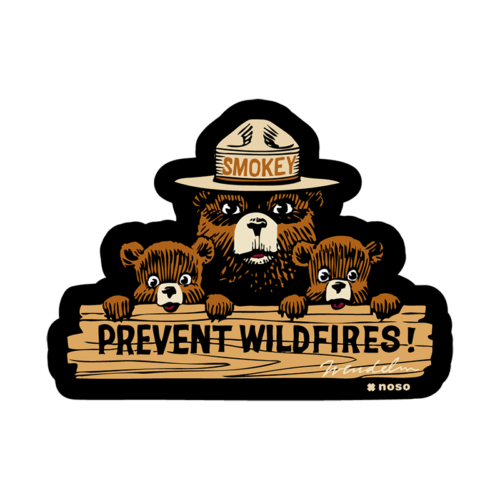 Smokey Bear Prevent WiildFires NoSo Patch