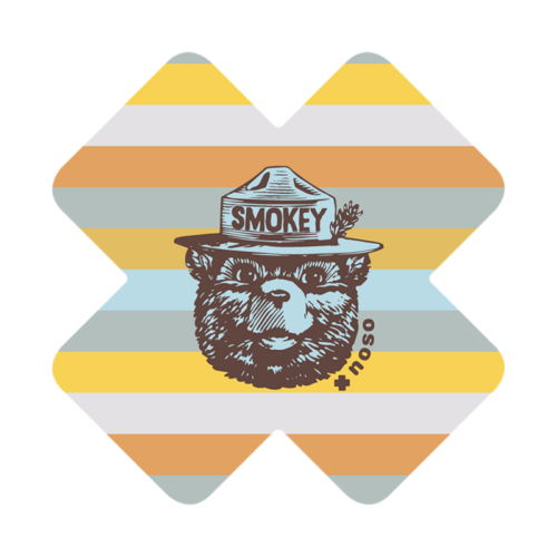 Smokey Bear Vintage Striped Patch