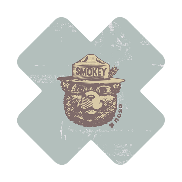Smokey Bear X Vintage Patch