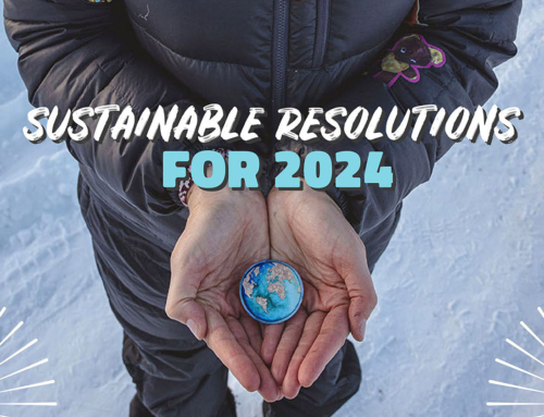 Sustainable Resolutions for 2024