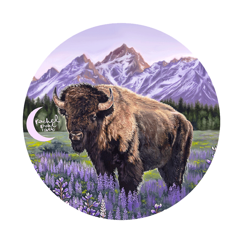 Bison Yeti, Buffalo Yeti - Shop Wyoming